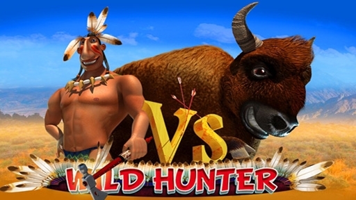 Play online Casino Wild Hunter