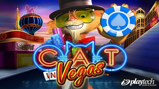 Cat in Vegas