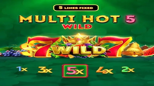 Play online Casino Multi Hot 5 Wild